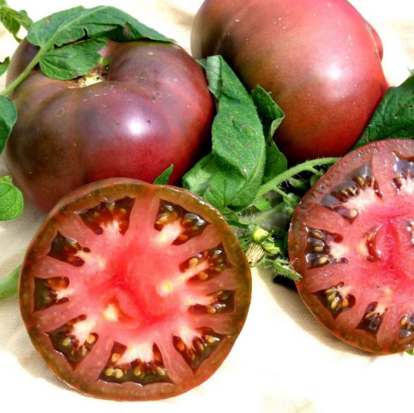 Heirloom Cherokee Purple - Tomato Plant - 4" Pot